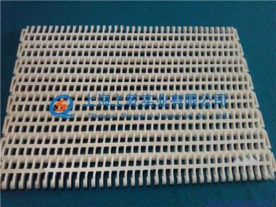 塑料網(wǎng)帶廠家圖片,塑料網(wǎng)帶廠家圖片大全,上海上乾實業(yè)-