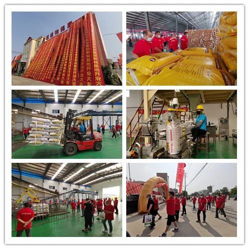 百萬(wàn)噸酵素肥基地落成 億豐實(shí)業(yè)集團(tuán)發(fā)布會(huì)釋放行業(yè)重磅信息