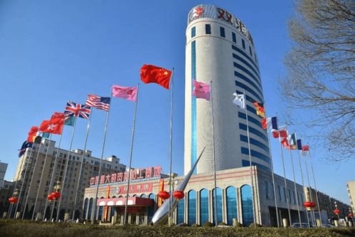 河南民企新標(biāo)桿 百墩實業(yè)總資產(chǎn)突破1200億元，力壓雙匯中瑞登頂